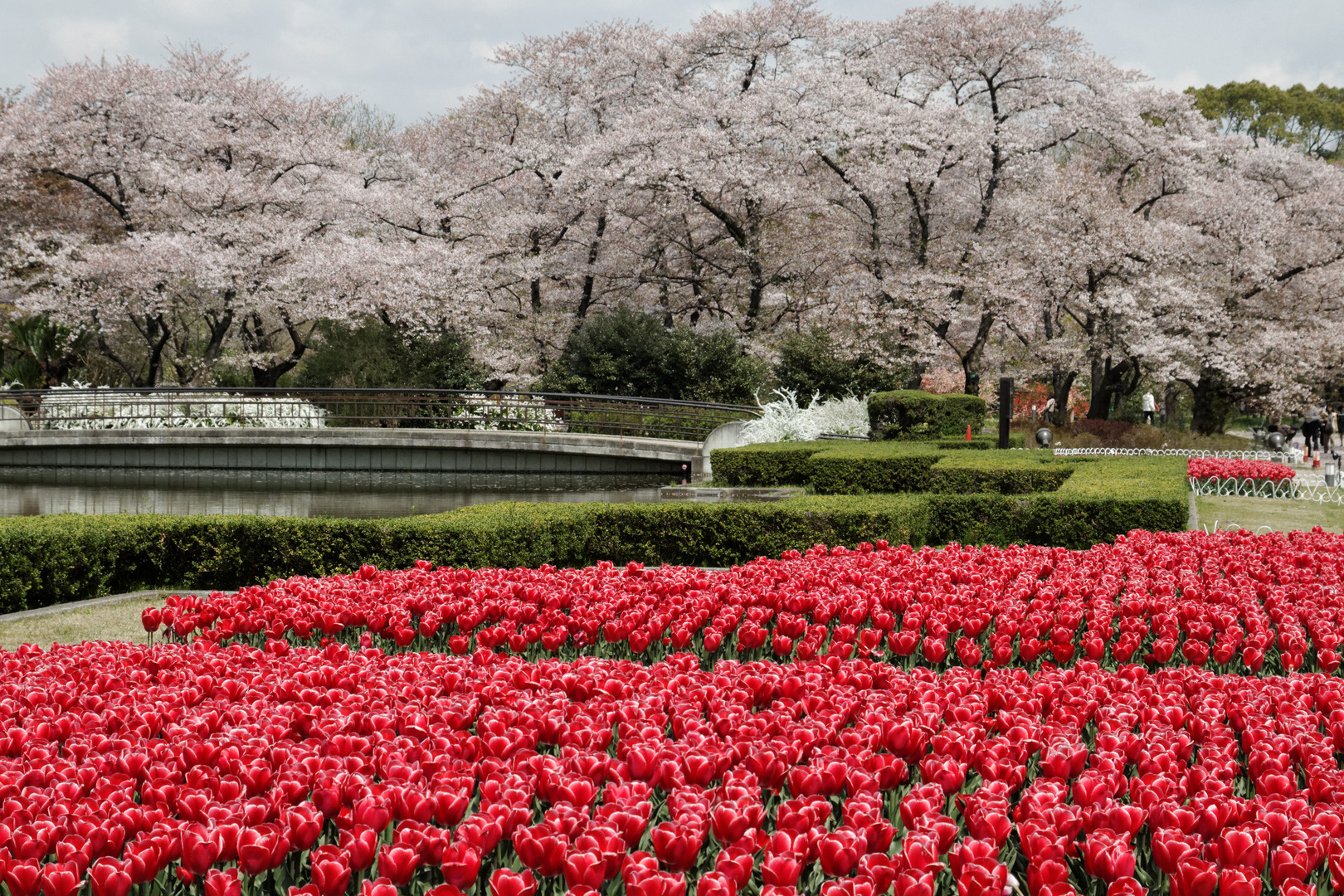 Japão, Coréia do Sul & Taiwan